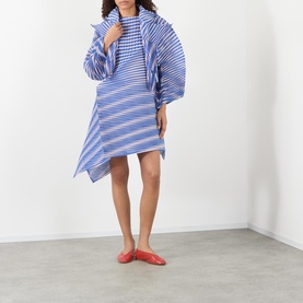 Generic Stripes Double-Breasted Pleated Jacket