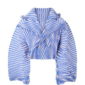 Generic Stripes Double-Breasted Pleated Jacket