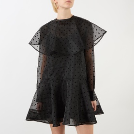 Flocked Organza Mini Dress