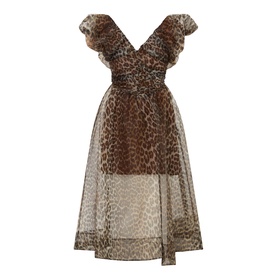 Leopard Print Mini Dress