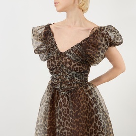 Leopard Print Mini Dress