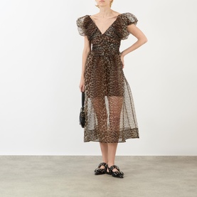 Leopard Print Mini Dress