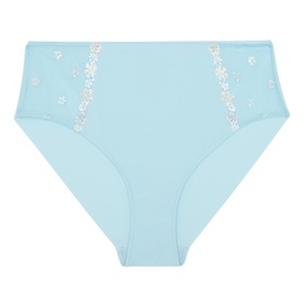 Joan Embroidered Briefs