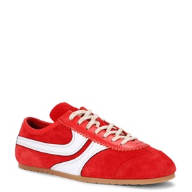 Dustin Trainers