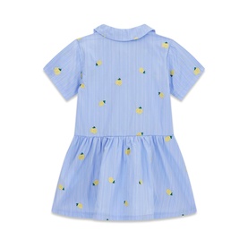 Lemon Stripe Shirt Dress