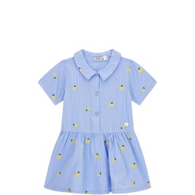 Lemon Stripe Shirt Dress