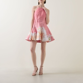 Carryon Mini Dress