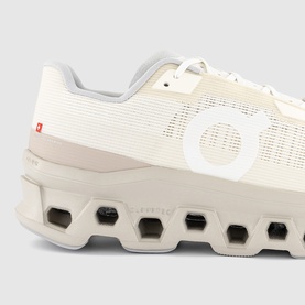Cloudmonster Void Trainers