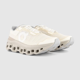 Cloudmonster Void Trainers