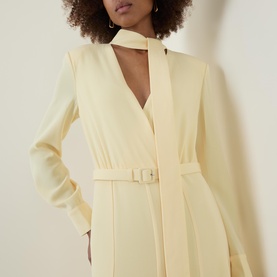 Belted Scarf Dress