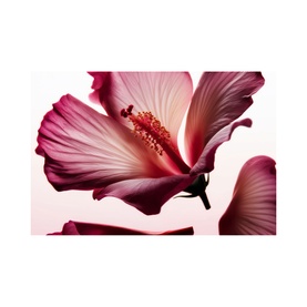 Hibiscus Dream Scented Candle