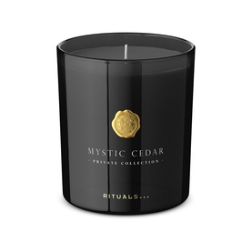 Mystic Cedar Scented Candle