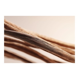 Velvet Oudh Refill Car Air Freshener