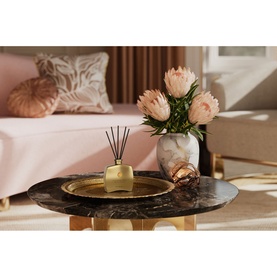 Cashmere Rose Mini Fragrance Sticks