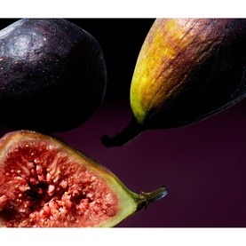 Wild Fig Mini Fragrance Sticks