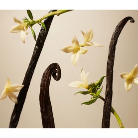 Suede Vanilla Home Perfume
