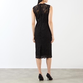 Floral Lace Fitted Dress