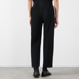 Pleated Trousers