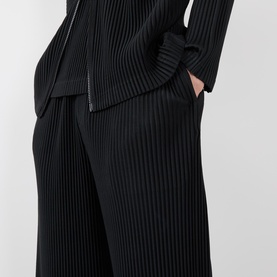 Pleated Trousers