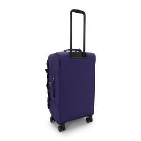 Spontaneous Medium Wheeled Luggage