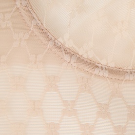 Plume Tummy Control Bodysuit