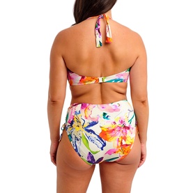 Iguazu Falls High-Rise Bikini Briefs