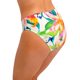 Iguazu Falls Mid-Rise Bikini Briefs