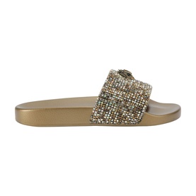 Meena Eagle Slides