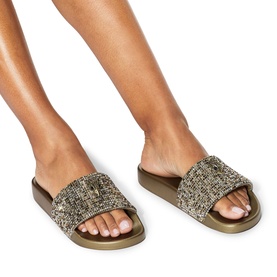 Meena Eagle Slides