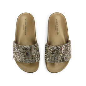 Meena Eagle Slides