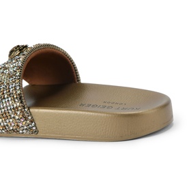 Meena Eagle Slides