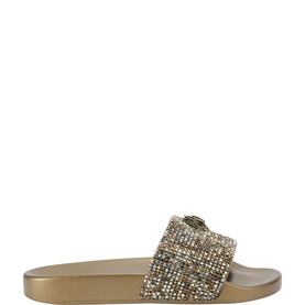 Meena Eagle Slides