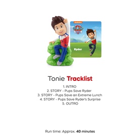 Paw Patrol Ryder Audio Character