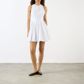 Ara Mini Flared Dress