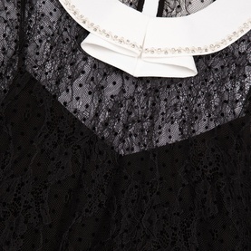 Plumetis Embellished Lace Top