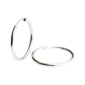 Small Hoop Earrings