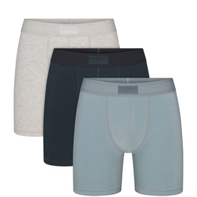 5" Boxer Briefs Three-Pack Verdant Multi
