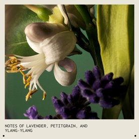 Abundant Blow Out All-Over Volumising Spray