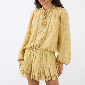 Preya Embroidered Mini Dress