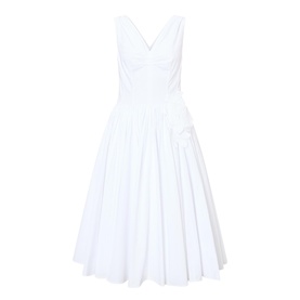 Flower Appliqu&eacute; Pleated Flared Dress