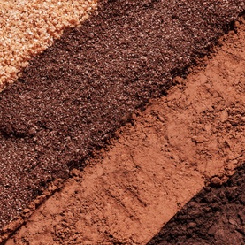 Sisley Phyto-Eye Palette in Tender Toffee, close-up of four eyeshadow shades ranging from champagne to deep brown and terracotta