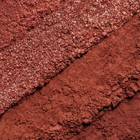 Phyto-Eye Palette