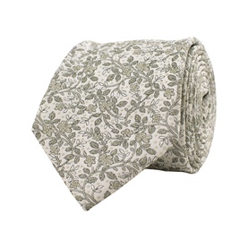 Graziano Silk Tie & Pocket Square Set