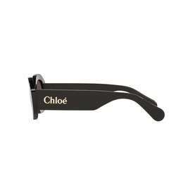 Irregular Sunglasses CH0258S