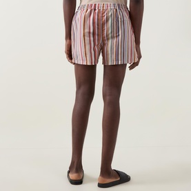 Painted Signature Stripe Swim Shorts