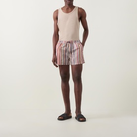 Painted Signature Stripe Swim Shorts