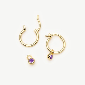 February Birthstone Mini Charm Hoop Earrings