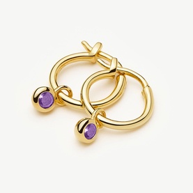 February Birthstone Mini Charm Hoop Earrings