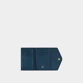 Folded Multi-Card Wallet