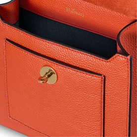Antony Small Messenger Bag